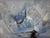 Late 20th Century Postmodern Abstract Expressionist Blue & Slate Painting – Companion Piece Signed For Sale - Image 4 of 5