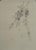 Chinoiserie Hand Painted Chinoiserie Floral Branch Wallpaper Mural With Elegant Botanical Design For Sale - Image 3 of 8