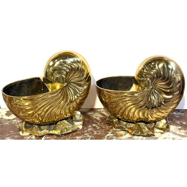 Large Pair Polished Brass Nautilus Shell Vase by Sarreid, Spain, Circa 1970s For Sale In Greensboro - Image 6 of 10