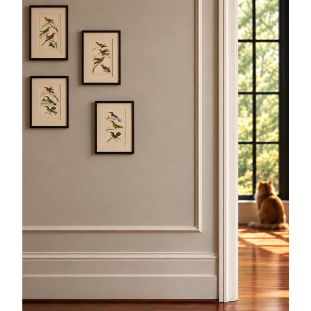 A charming collection of four original 19th-century hummingbird engravings, featuring delicate hand-coloring in emerald...