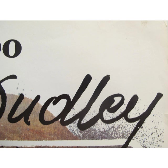 Folk Art 1977 Original Polish Poster, Photography Exhibition Renard Dudley For Sale - Image 3 of 7