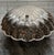 Mid 20th Century Vintage Oversized Silverplate Hinged Scallop Shell Buffet Server For Sale - Image 5 of 13