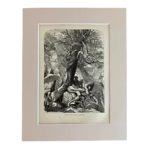 Antique 1874 Wood Engraving "Above the Natural Bridge" Virginia in 11x14 Mat