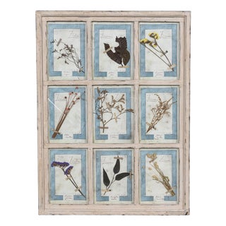 Large Italian Oak Frame Containing Pressed Flowers and Herbs, 1980s For Sale