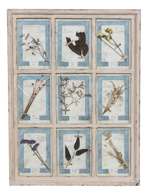 Large Italian Oak Frame Containing Pressed Flowers and Herbs, 1980s