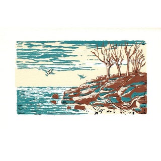 1966 Maria De Boer 'Bark Point' Contemporary Brown,Blue Lithograph For Sale
