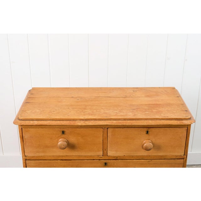 19th Century Two Over Two Victorian Pine Chest For Sale - Image 11 of 12
