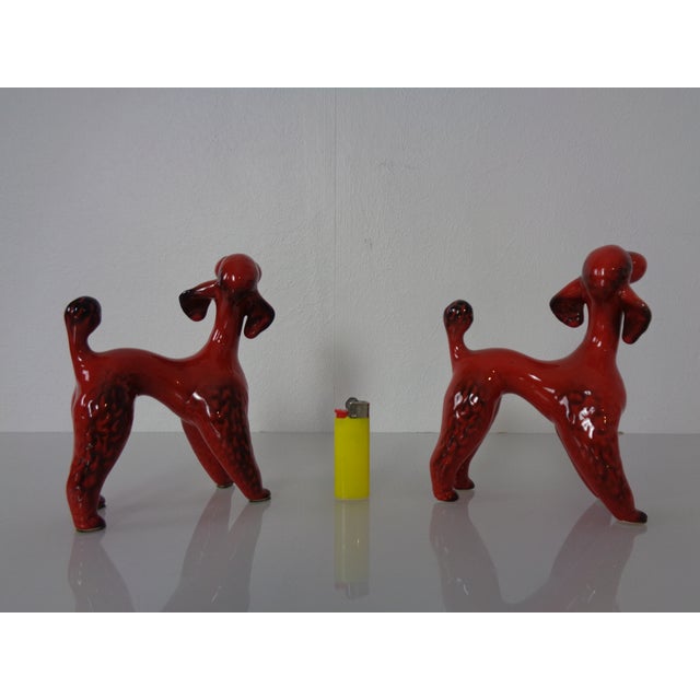 Ceramic German Ceramic Poodle by Cortendorf, 1960s, Set of 2 For Sale - Image 7 of 18