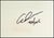 The Wild Ones - Lion, Adam Scott Rote For Sale - Image 4 of 5