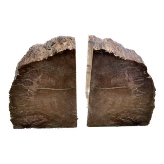 Vintage Bookmatched Petrified Wood Bookends - A Pair For Sale