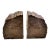 Vintage Bookmatched Petrified Wood Bookends - A Pair For Sale