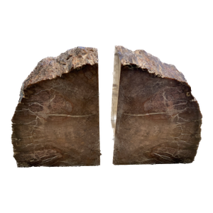 Vintage Bookmatched Petrified Wood Bookends - A Pair