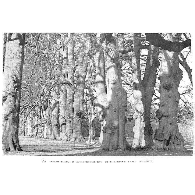 "The Legacy of England: An Illustrated Survey of the Works of Man in the English Country" 1941 For Sale - Image 12 of 12