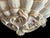 Antique French Biscuit Ceramic Shell-Form Wall Sconces, 1890, Set of 2 For Sale - Image 4 of 10