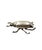 Metal Silver Insect Shaped Ashtray / Box, France 1950s For Sale - Image 7 of 11