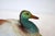 Ceramic 19th Century Staffordshire Duck on Nest Tureen For Sale - Image 7 of 11