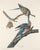 1960s Vintage Reproductions 1966 John James Audubon Bird Prints Featuring Owls - Collection of 4 For Sale - Image 5 of 9