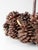Vintage Handmade Pinecone Basket For Sale - Image 14 of 15