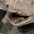 Bonobo Monkey Head Sculpture in Terracotta, 2019 For Sale - Image 10 of 18