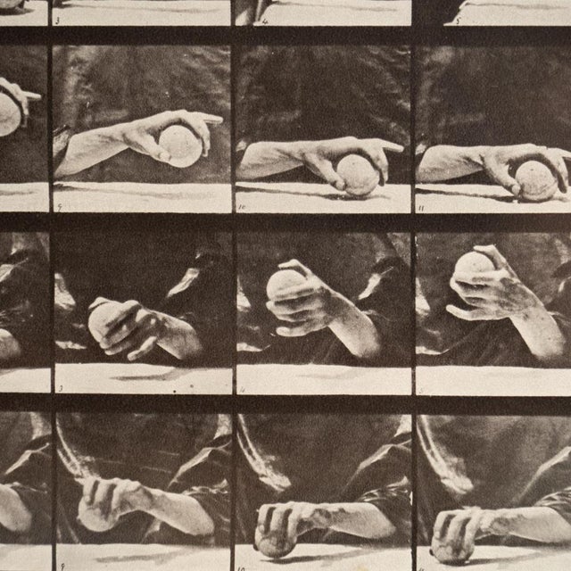 Eadweard Muybridge, Black and White Hand with Ball Movement, 1982, Photograph, Framed For Sale - Image 6 of 14