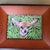 Contemporary chihuahua dog print by Judy Henn. Measures 7x5 / 10.5x8.5 framed. Check out my shop Robins Egg Gallery for more.