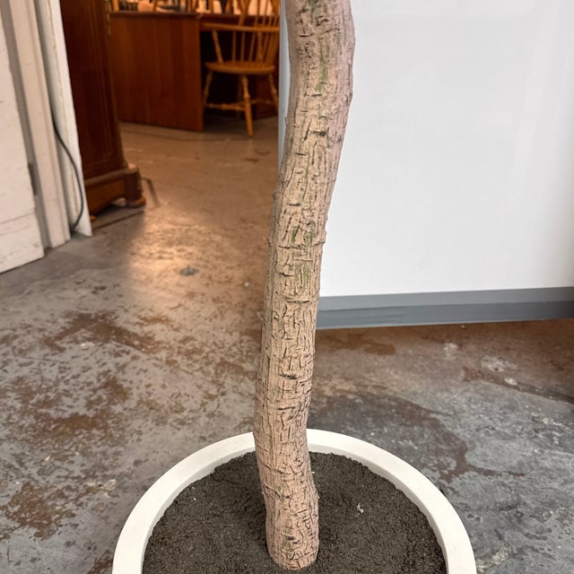 Faux Olive Tree + White Planter For Sale - Image 9 of 12