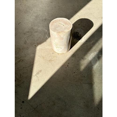 White Petrified Wood Side Table For Sale - Image 6 of 18