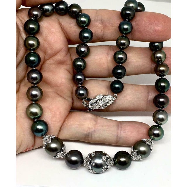 Diamond Tahitian Pearl Necklace 18k Gold 13.25 mm 17" Certified For Sale In New York - Image 6 of 11