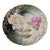 LastChance!Antique Rosenthal Hand Painted Plate For Sale
