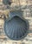 Black Vintage Italian Black Porcelain Shell Box For Sale - Image 8 of 12
