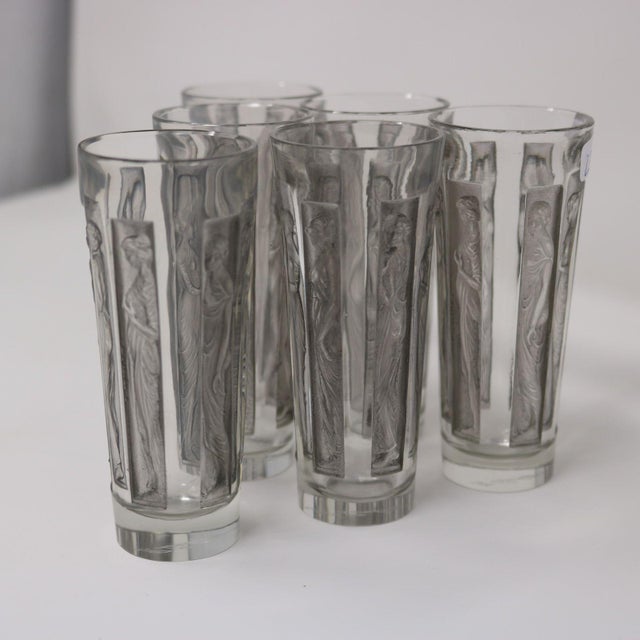 1910s Art Nouveau Rene Lalique Glass Shot Glasses Set of 6 Boxed For Sale - Image 6 of 18