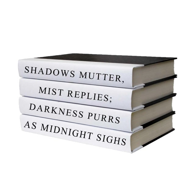 Let your thoughts be seen with these four Decorative hardback books in black with white spines.