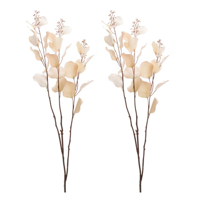2020s Seeded Eucalyptus Stem (Set of 2) For Sale - Image 5 of 5
