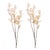 2020s Seeded Eucalyptus Stem (Set of 2) For Sale - Image 5 of 5