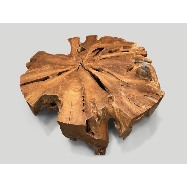 Contemporary Andrianna Shamaris Organic Teak Wood Round Coffee Table For Sale - Image 3 of 6
