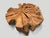 Contemporary Andrianna Shamaris Organic Teak Wood Round Coffee Table For Sale - Image 3 of 6