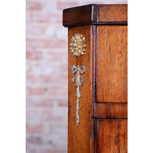 Traditional Empire Cabinet in Oak, Spruce, Mahogany Veneer and Brass, Austria, 1810s For Sale - Image 3 of 17