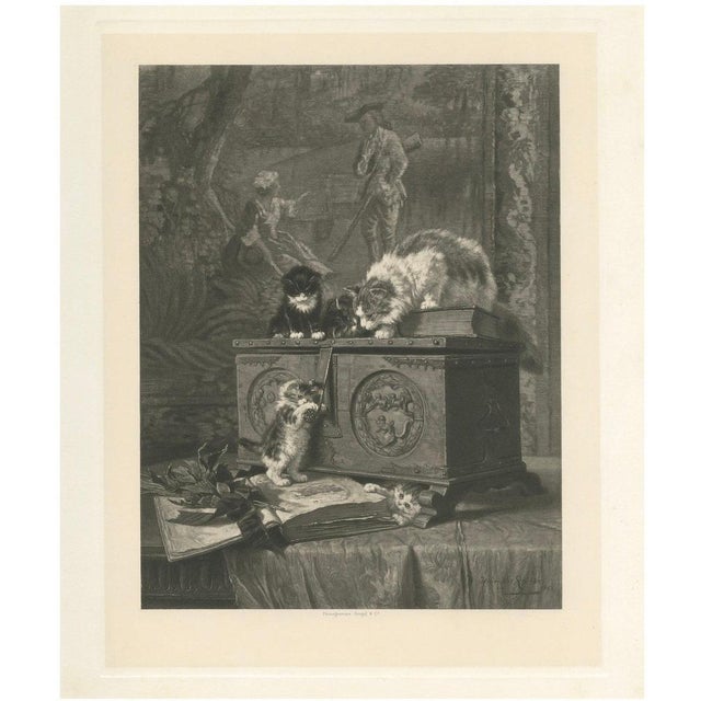 Paper Henriette Ronner, The Young Adventurers: Cats and Kittens, 1894, Print For Sale - Image 7 of 7