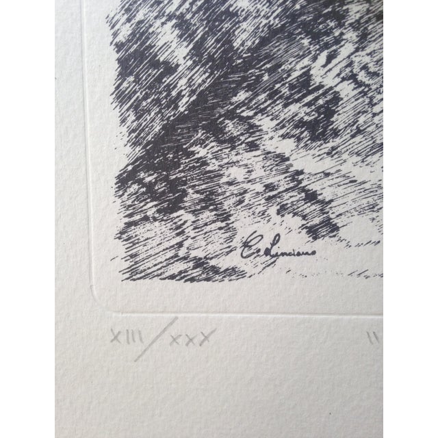 Carmelo Linciano, Baronial Palace Tower, Lizzanello, 1993, Lithograph For Sale - Image 6 of 9