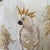 Cockatoos, 1920s-1940s, Set of 2 For Sale - Image 6 of 10