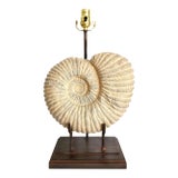 Lamp Plaster Seashell Shell Ammonite Large For Sale