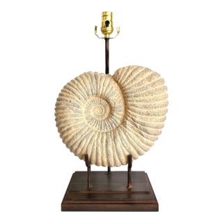 Lamp Plaster Snail Shell Ammonite For Sale