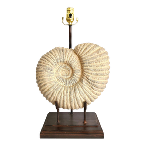 Large Lamp Plaster Snail Shell Ammonite