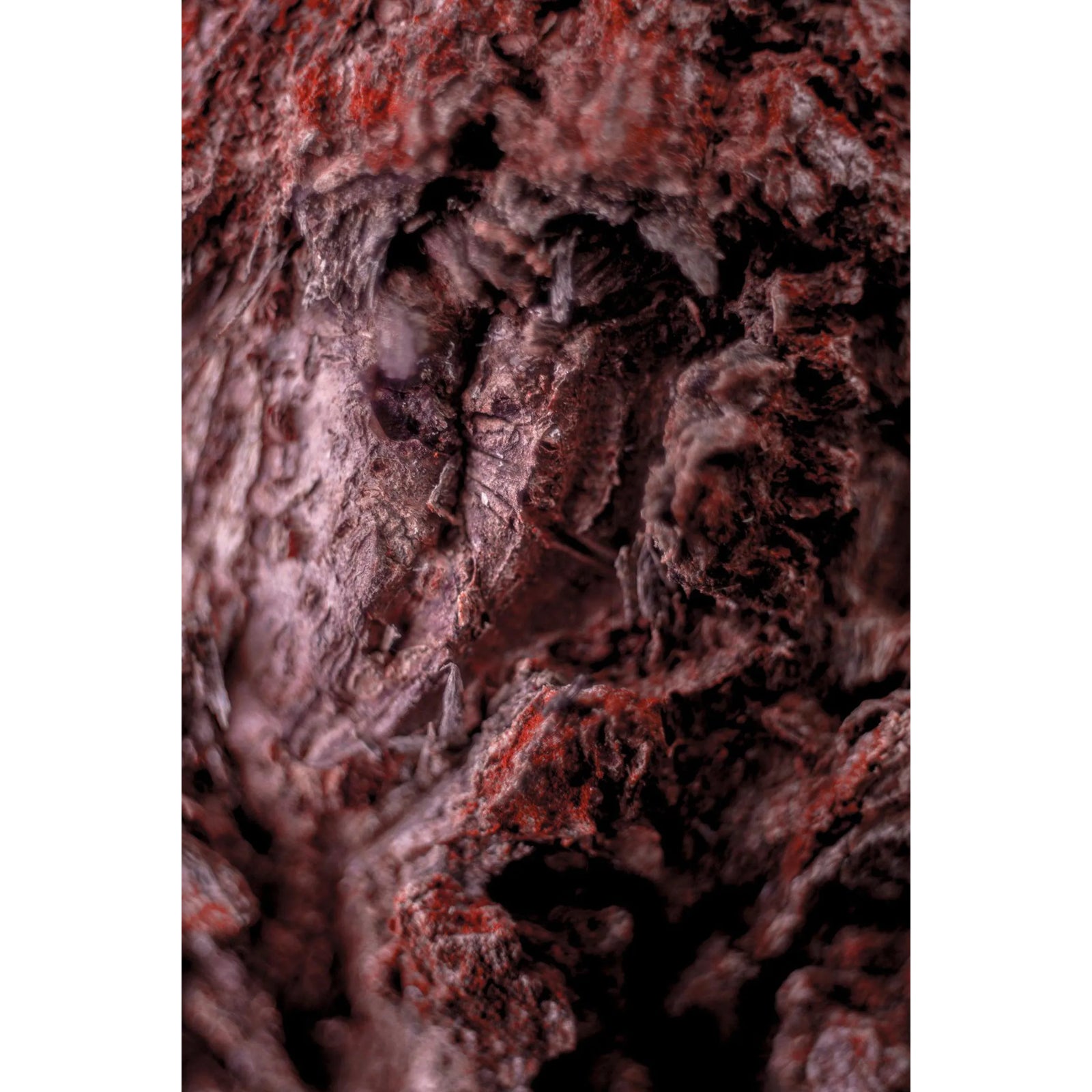 Marko Milić, Cocoon, Abstract Photography | Chairish