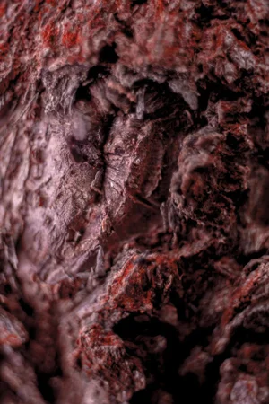 Marko Milić, Cocoon, Abstract Photography