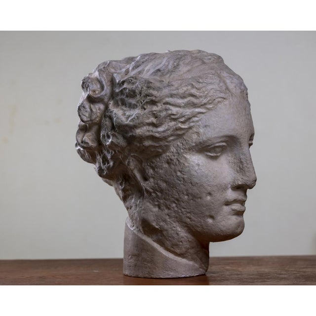 Head of Greek Goddess Hygeia, 1930s-1940s, Plaster Sculpture For Sale - Image 3 of 7