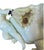 19th Century Moore Brothers English Porcelain Cactus Flower Double Cherub Centerpiece For Sale - Image 10 of 11