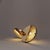 Butterflies have the typical four-stage insect life cycle. During its metamorphosis from the colorless caterpillar, it...