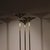Brass Papyrus Floor Lamp by Nucci Valsecchi, Italy, 1970s For Sale - Image 12 of 18