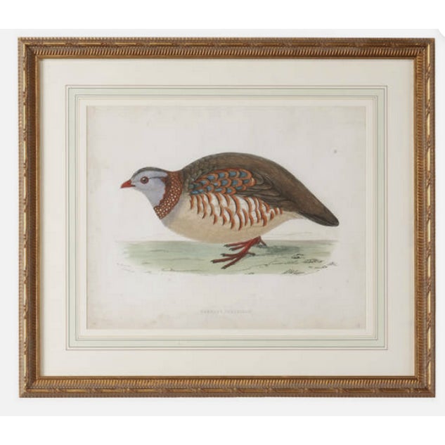 Offering a stunning pair of authentic Chelsea House designer giclée prints at 29.25” x 25.25” dimensions. These prints are...